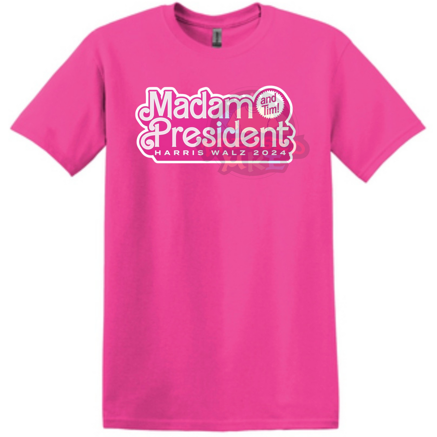 MADAM PRESIDENT - ELECTION