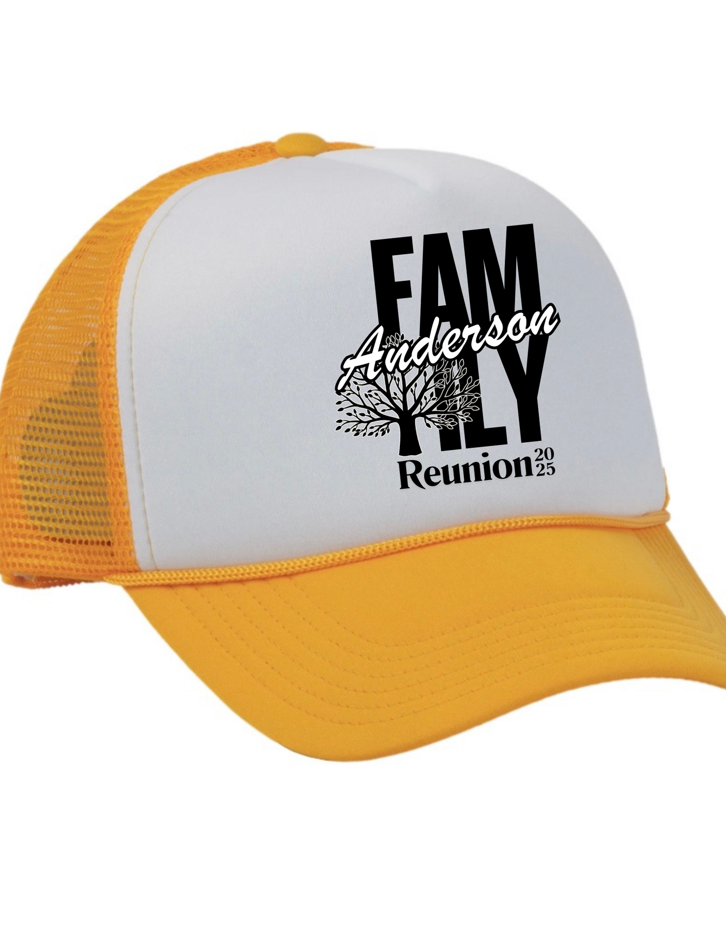 Anderson Family Reunion Cap